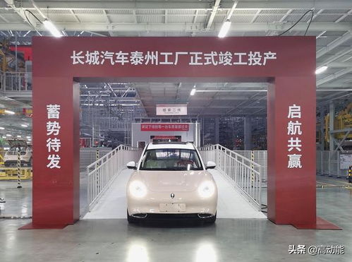 又萌又美,才是合格的好猫