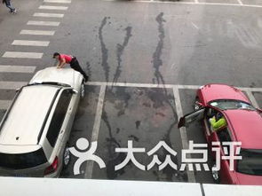 北京中华民族园南门停车场 北京中华民族园南门停车场爱车