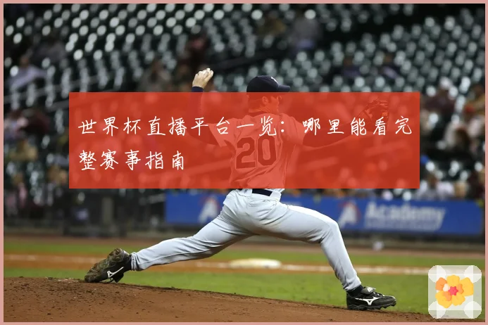 世界杯直播平台一览:哪里能看完整赛事指南