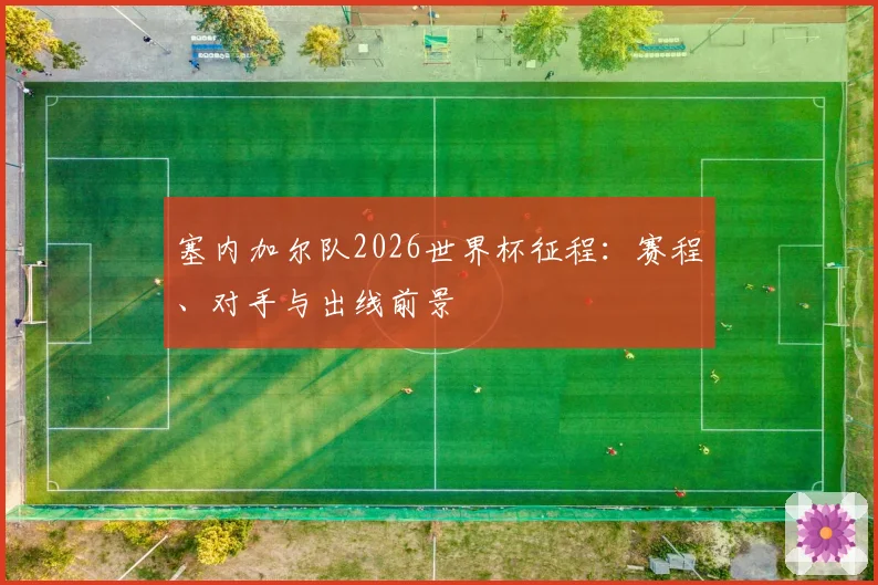 塞内加尔队2026世界杯征程:赛程、对手与出线前景