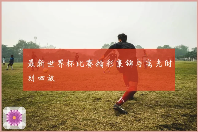 最新世界杯比赛精彩集锦与高光时刻回放