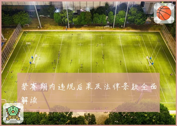禁赛期内违规后果及法律条款全面解读