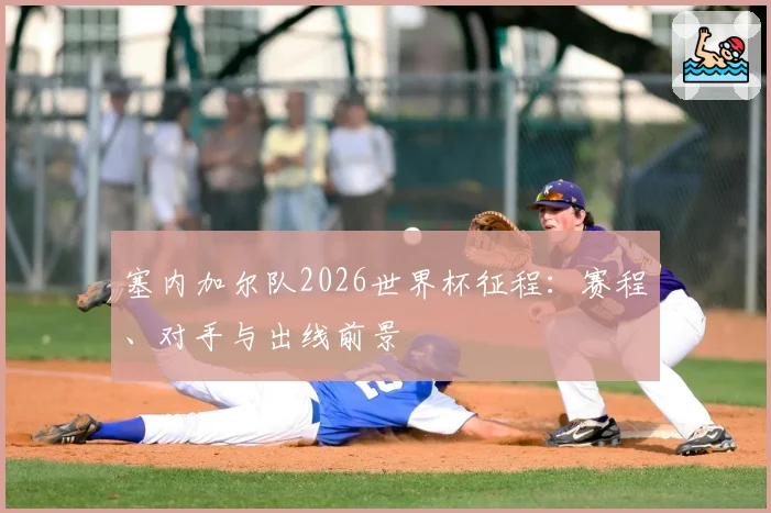 塞内加尔队2026世界杯征程:赛程、对手与出线前景