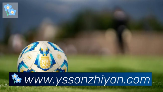 必一运动app官网入口荣誉