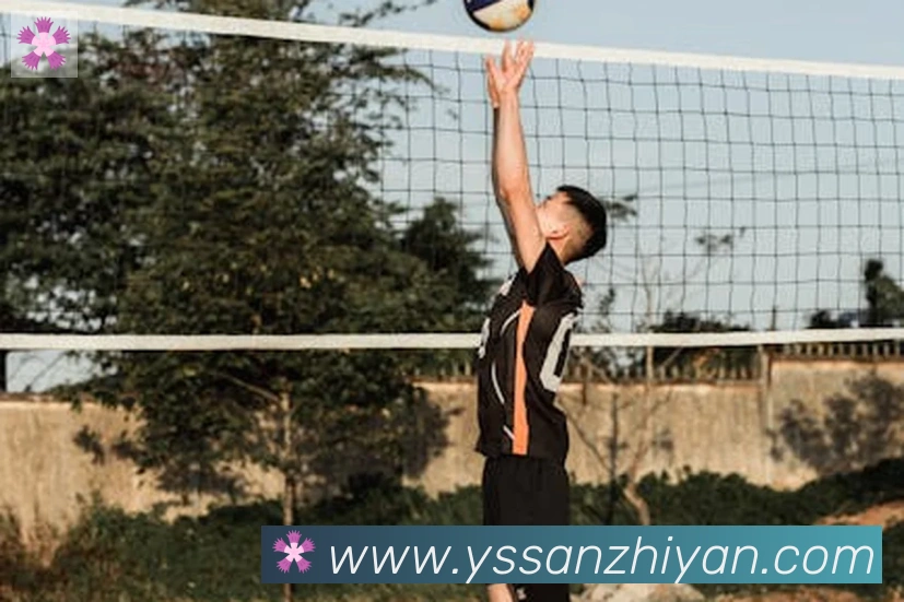 必一运动app官网入口荣誉