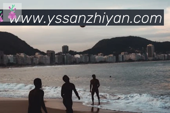 必一运动app官网入口荣誉