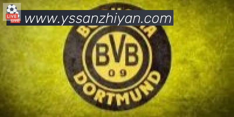 必一运动app官网入口合作伙伴